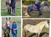 Benji  12'1 5 yr old grey Blagdon Gelding