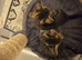 2 Tabby Kittens