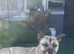 Rehome