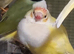 This years baby gouldian finches