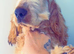 Kc Show cocker spaniel male