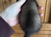1 part & 1 semi angora left available