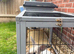 Free Rabbit