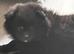 1 boy available