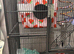 Pet cage and accessories