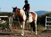16’3 ID mare bfg