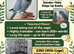 Beautiful blue ringneck tame talking parrot