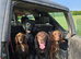 Wanted spaniels,labs, any gundog breed