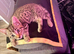 Maine coon x kittens both male £200 to go together