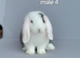 Purebred mini lop REDUCED TO SELL