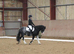 12.2hh Blagdon Gypsy Cob Gelding, 9yrs