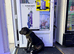 Female cane corso puppy
