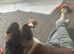 Puppy for sale