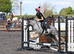 Sad sale of our super pony