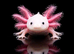 Axoltols Various Morphs