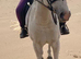 Lovely 13.1 grey gelding, 11 years old