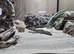 V.I.P.E.R Geckos for sale with complete set up