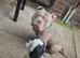 I have a female and male available