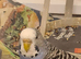 Lovely budgies