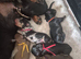 PRA CLEAR MINIATURE DACHSHUND PUPPIES