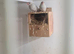 Lovely birds
