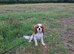 Hugo 3 years old