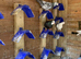 Garden fantails
