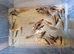 Koi - Various sizes Available