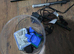 Tank, fish & accessories