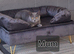Lilac and blue bsh kittens ready now