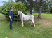 Freckles spotted roan 11.2hh 4yrs old mare