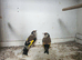 7 goldfinch 2026