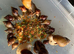 Giant African Land Snails (Lissachatina fulica)