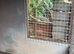 Outside dog kennel