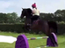 All rounder - hunter / jumper