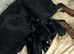 Rottweiler puppies