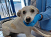 LILY – The Little Girl Who Believes Everyone Could Be Her Best Friend