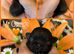 True chocolate imperial Shihtzu puppies