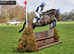 Moidore 16.1/2 Thoroughbred ex-racer