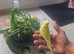 Hand-tamed budgie