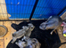 5 Blue Stunning Staffordshire puppies for sale