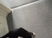 9 month old female kitten