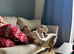 Olive needs her forever home
