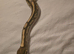 Lesser Fire Het Clown