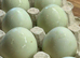 Chicks Ready to reserve