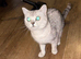 Beautiful female please read advert!