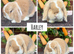 Pure bred quality mini lops