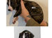 Lurcher puppies for sale