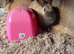 4 x rabbits and hutch