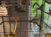 Large floor standing bird cage less than 4 months old